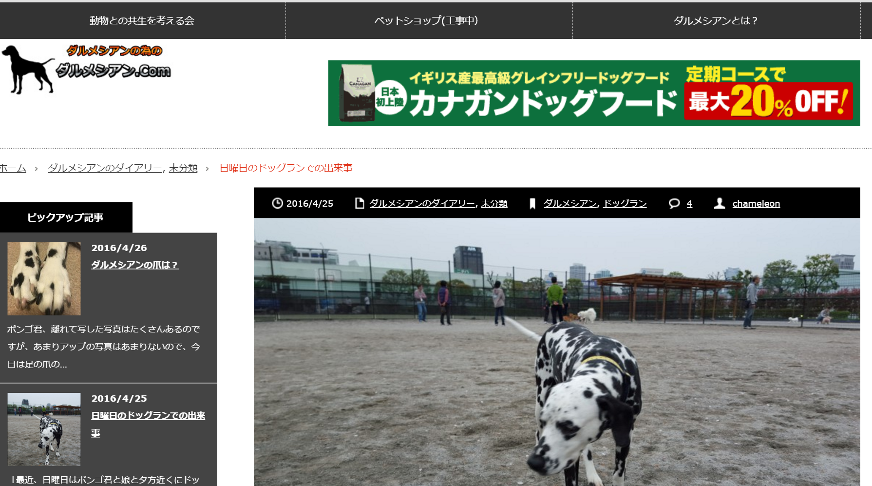 動物ペットブログ稼ぐ方法とサイトの作り方講座