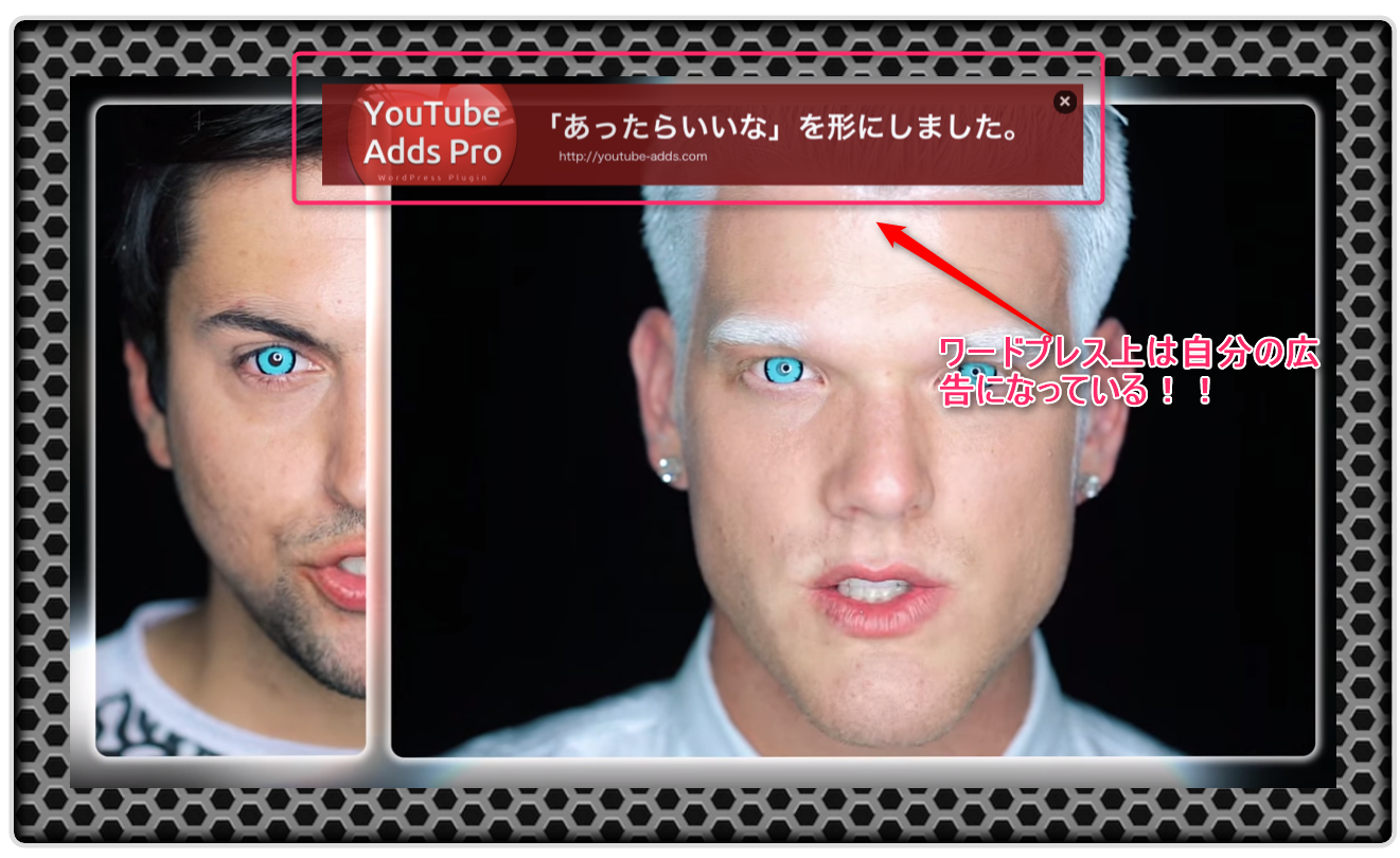 動物ペットブログ稼ぐ方法とサイトの作り方講座