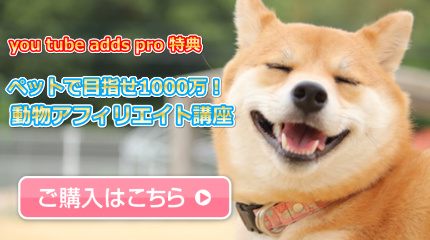 動物,ペット,稼ぐ,方法,アフィリエイト